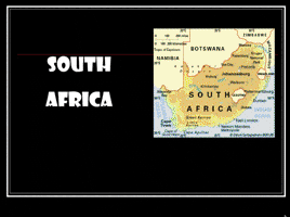 South Africa Musk GIF
