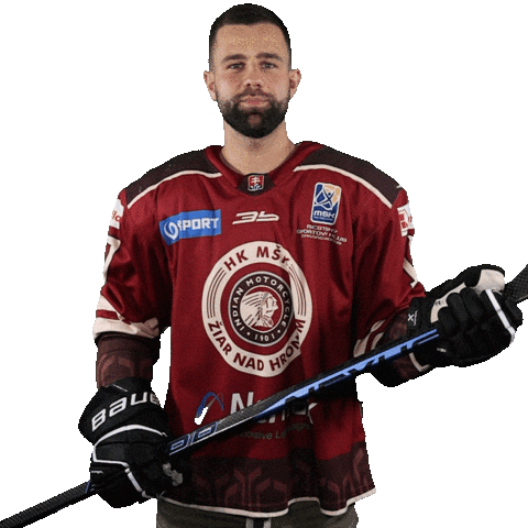 HK MŠK Žiar nad Hronom Sticker