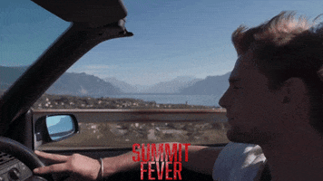 Drive Driving GIF by Signature Entertainment