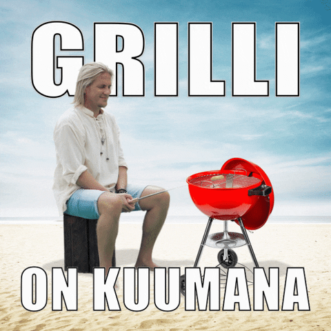 Holiday Grilling GIF by NelonenMedia