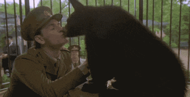 Canadian Love GIF by CanFilmDay
