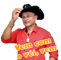 Veidapisadinha Sticker by Luxebr