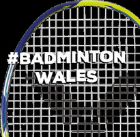badmintonwales GIF