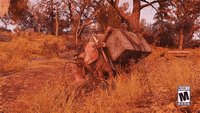 Fallout76 GIFs - Get the best GIF on GIPHY