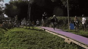 Stannis GIF