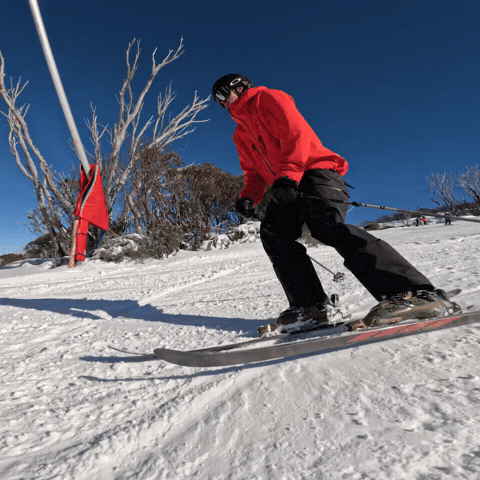 GIF by Thredbo