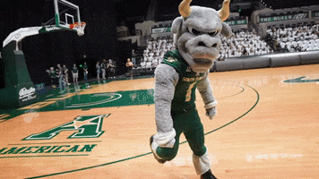 Usf Bulls Mascot GIF by University of South Florida