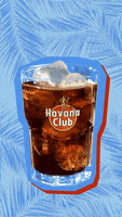 Palm Tree Drink GIF by Havana Club