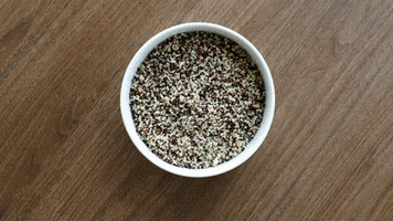 Sheraton Diana Majestic GIF