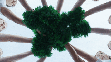 Excited All In GIF by University of North Dakota