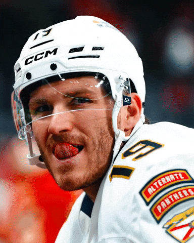 Wink Thumbs Up GIF by Florida Panthers