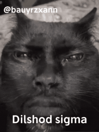 Baukagif GIF