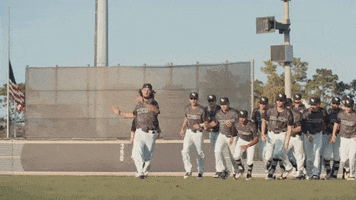 baseball GIF by UCF Knights