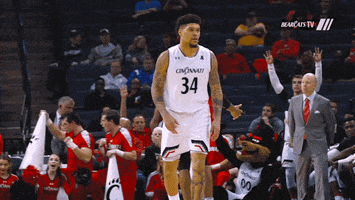excited lets go GIF by University of Cincinnati Athletics