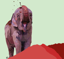 guadaceragioli free elephant mara ilustration GIF