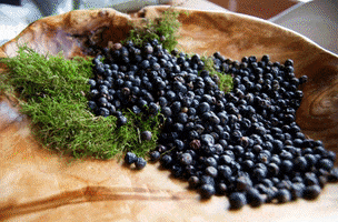 Gin Ingredients GIF by Charné