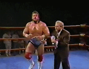 Wrestling GIF