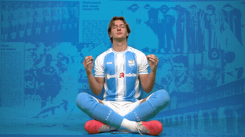 Celebration Cfc GIF by ChemnitzerFC