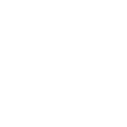 Blackstarburger Sticker by Black Star USA