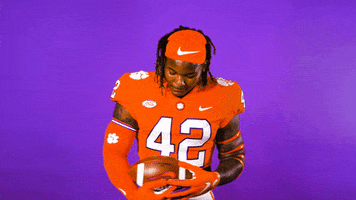 All In Baby GIF by Clemson Tigers