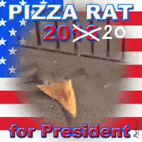 Pizza Rat GIF by PEEKASSO