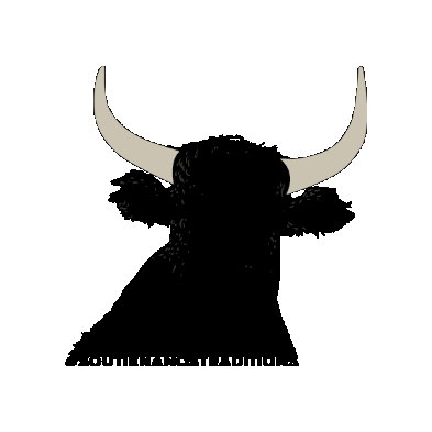 VilleDeLunel Sticker