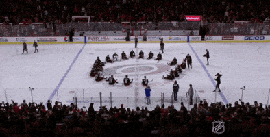 ice hockey sport GIF by NHL