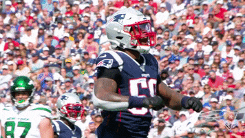 Jamie Collins Reaction GIF by New England Patriots