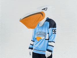 PelicansFi hockey mascot ice hockey pelicans GIF