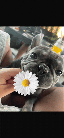 Type Something GIF by skinart