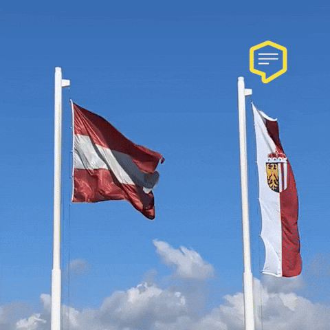 Austria Risk GIF by Linz News