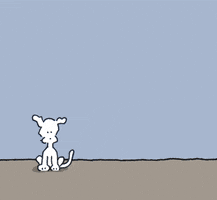 GIF by Chippy the Dog