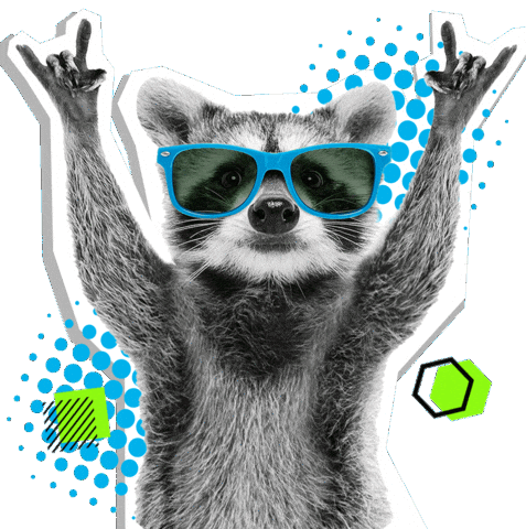 Racoon Waschbär Sticker by bildschnittTV