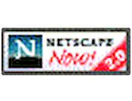 Geocities Internet Explorer Sticker