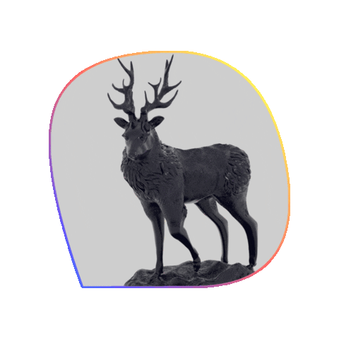 Animated Sticker