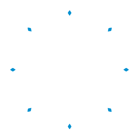 Winter Snowflake Sticker by Indie Brewing Company