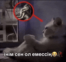 Қазақша Мемдер GIF