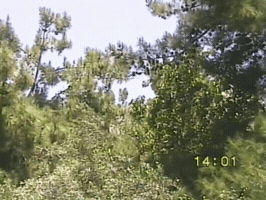 Vhs Greece GIF by tomafotograaf