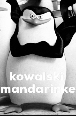 Kowalski Mandarinke GIF
