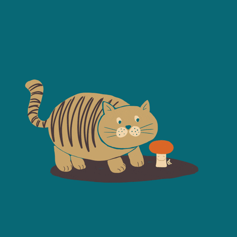 Malama Mushrooms GIF