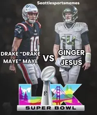 Super Bowl Football GIF