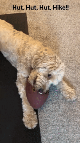 Super Bowl Football GIF by The Mission