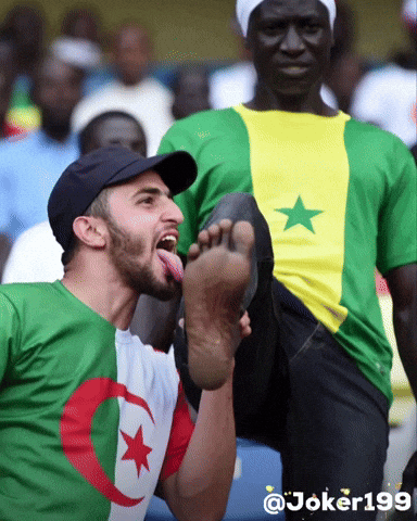 Algeria Senegal GIF