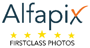 Alfapix Sticker by Videocontent-fabrik