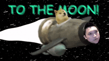 To The Moon GIF by armourupasia