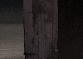 looking shifty i can see you GIF by David Firth