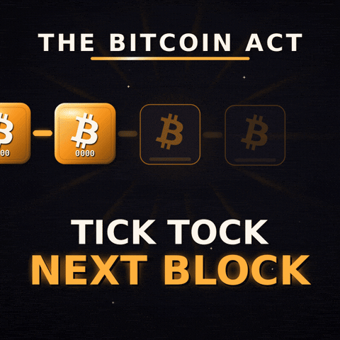 Tick Tock Bitcoin Block GIF by The Bitcoin Act