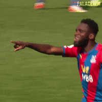 Premier League Palace GIF by CPFC