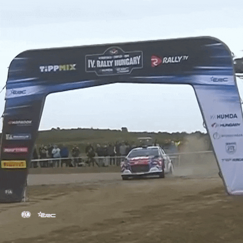 Sorry Heli GIF by FIA European Rally Championship