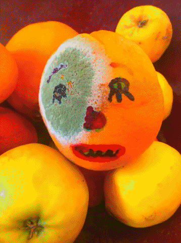 Orange GIF by phildekem